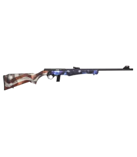 Carabine 8122 cal.22LR USA  ROSSI