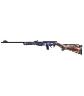 Carabine 8122 cal.22LR USA  ROSSI 2