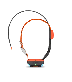 Pack GPS ALPHA 200F Plus T20 Version F GARMIN 2