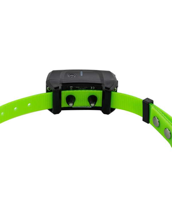 Pack CANICOM 1500 pour 3 chiens NUM'AXES