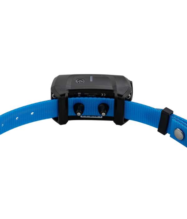 Pack CANICOM 1500 pour 3 chiens NUM'AXES