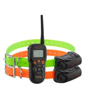 Pack Canicom 5.800 pour deux chiens | Num'Axes