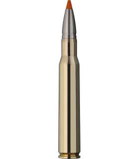 20 balles HIT Cal. 30-06 SPRG 165 GRS RWS 2