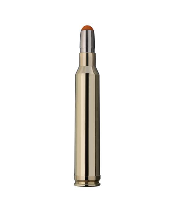 Munitions .300 Win. Mag. DRIVEN HUNT 10,7gr | RWS