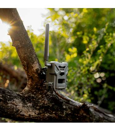 Caméra de chasse cellulaire FLEX E-36  SPYPOINT