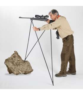 Canne BUSH LIGHT 4 STABLE STICKS 2