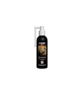Nettoyant D-CUIVRE SPRAY 100ML ARMAESTRIA