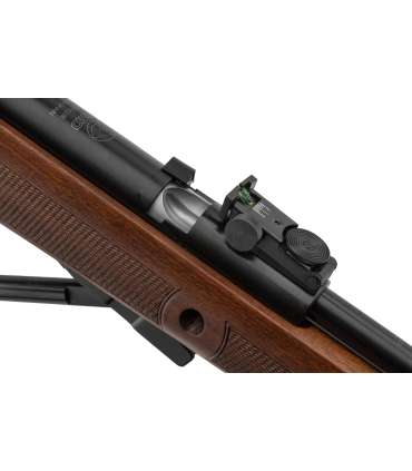 Carabine à Air Comprimé CFX Royal à canon fixe GAMO