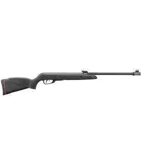 Carabine à Air Comprimé Black Bear + Lunette GAMO 2