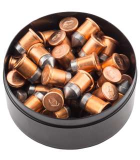 Boîte de 50 cartouches 9 mm Flobert Pointue | RWS 2