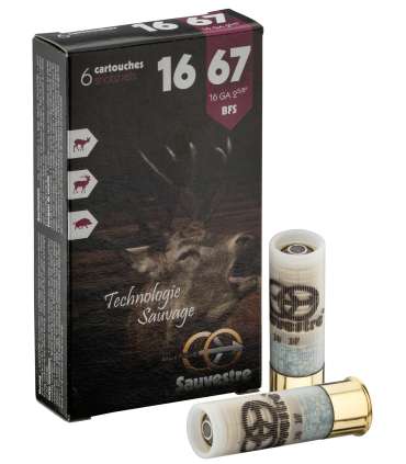 6 balles flèche pour fusil - Cal 16/67 SAUVESTRE