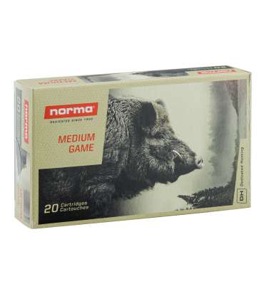 20 balles PLASTIC POINT 30-06 SPRG 180GRS NORMA