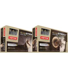 20 balles EVOSTRIKE Cal. 9.3X62 184 GRS NORMA 2