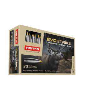 20 balles EVOSTRIKE Cal. 6.5X55 SE 93 GRS NORMA
