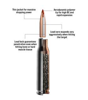 20 balles TIPSTRIKE SILENCER Cal. 30-06 SPRG 170 GRS NORMA 2
