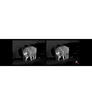 Lunette thermique ACE S60R NOCPIX