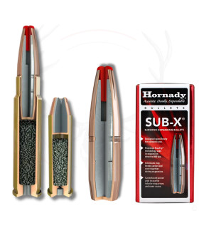 20 balles SUBSONIC SUB-X 45-70 GVT 410 Grs HORNADY 2