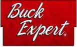 Buck Expert